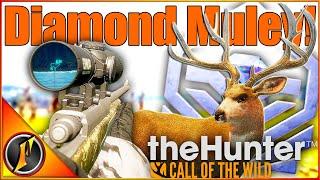 DIAMOND Muley with the NEW Scope! | theHunter Call of the Wild