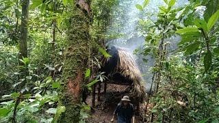 Bushcraft Alone, Rainstorm Hits the dark Valley, Build a Camouflage Survival Shelter