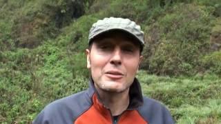 Tourists and trackers share views on gorilla encounter and YoG, Volcanoes NP, Rwanda