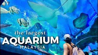 Aquaria KLCC Kuala Lumpur - The Best Aquarium in Malaysia