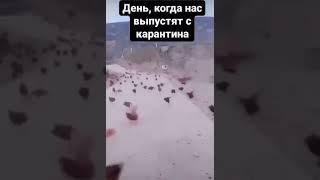 Карантин закончился