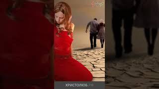 #ИИСУС #ХРИСТОС о разводе мужа с женой #Евангелие #НовыйЗавет #Библия @ХРИСТОЛЮБ ️ @ВЕГАН  #shorts