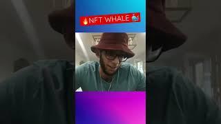 #nft whale  on buying whatever he wants 