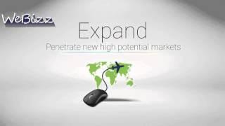 WeBizz B2B webmarketing solutions