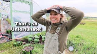 Well THAT Didn’t Go as Planned… | GreenStalk Planting Tips + Container Gardening Do’s & Don’ts