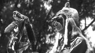 Shamanism: Explaining Shapeshifting, Chimeras, Creatures of Folklore & How Religion was Born