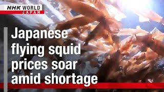 Japanese flying squid prices soar amid shortageーNHK WORLD-JAPAN NEWS