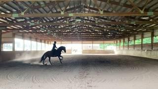 Miguel and Lizann Dunegan  Intermediate A WE  Virtual Test