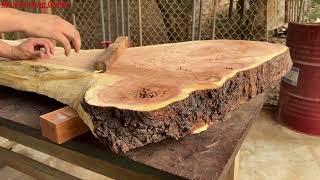 This Is The Biggest Tree Stump He Has Ever Made!