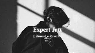 Expert Jatt [Slowed + Reverb]