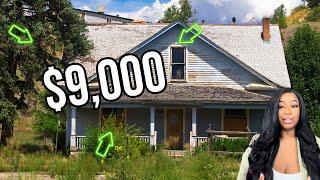 How To Buy Cheap Houses From A Tax Sale Auction | Tax Deed Investing