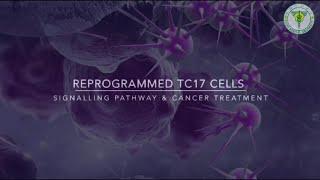 Reprogrammed Tc17 Cells: Signalling Pathway & Cancer Treatment