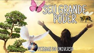 METAMORFOSE QUÂNTICA - SEU GRANDE PODER. PITADAS DO UNIVERSO