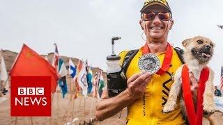 Stray dog joined extreme runner during China race - BBC News