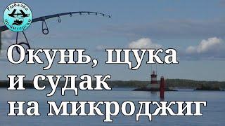 Окунь, щука и судак на микроджиг.