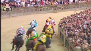 Palio di Siena Agosto 2017