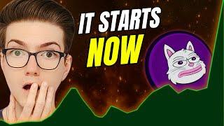 Ton Cat to $100M! Here’s Why This Meme Coin is Set to Explode