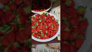 KATYOL UZ QISHNING NATIJASI  КАТЁЛЛАР ИШЛАБ ЧИКАРАМИЗ  +998973316666