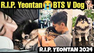 R.I.P. YEONTAN  BTS V Dog Yeontan Death  BTS V Dog Yeontan Died Today  Rest in Peace ️ Yeontan