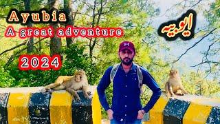 Ayubia Trip | Murree Galiyaat | Ayubia Moto Tunnel | Ayubia National Park @iftikhariffi