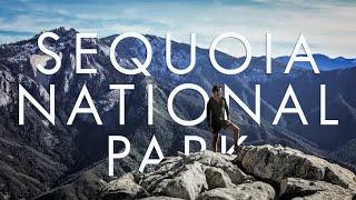 Explore Sequoia National Park : A Run With Ryan Hiking Adventure