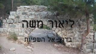 ליאור משה- בדרך אל השפיות