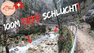 Salmoniden-Bach in GIGANTO-Schlucht entdeckt! | FishFizzle