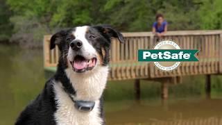 PetSafe® Ferntrainer (DE)