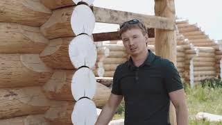 Знакомство с компанией Золотой Венец. Ручная рубка срубов.