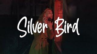 Mark Lindsay - Silver Bird (Lyrics) From The Gray Man