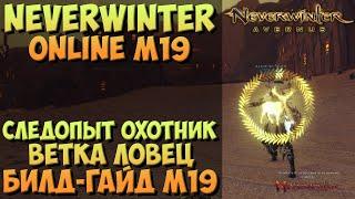 Следопыт Охотник, Ветка Ловец. Билд-Гайд М19 | Neverwinter Online