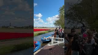 Paradise in Lisse: Keukenhof Stunning Gardens