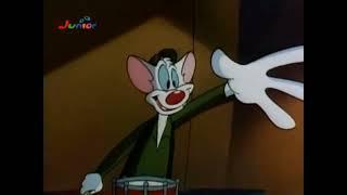 (Die Animaniacs) Pinky und der Brain - intro + der  General Brain (German, Junior airing)