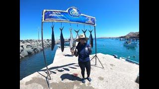 Limits of Yellowtail! Cedros Sportfishing Day 3! July 6th-11 2022