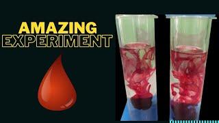 Amazing Experiment by With Red Colour  Liquid #amitnxg