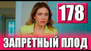 ЗАПРЕТНЫЙ ПЛОД 178 СЕРИЯ РУССКАЯ ОЗВУЧКА. Анонс и дата выхода