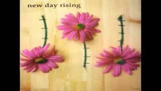 new day rising-property culture