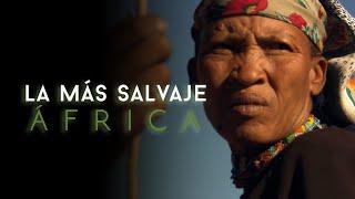 África más salvaje - Sáhara: la vida al límite