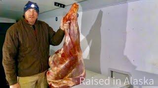 Moose Processing: Steaks, Roasts & Burger