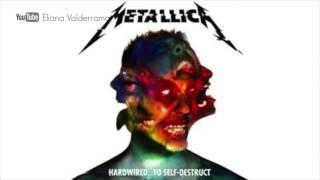 Metallica Moth Into Flame (official audio)