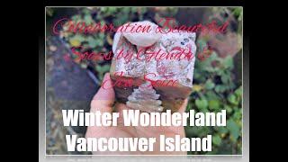 Winter Wonderland ️Beautiful Soaps by Glenda Collaboration 2021  Wild Winter Mushies in Victoria