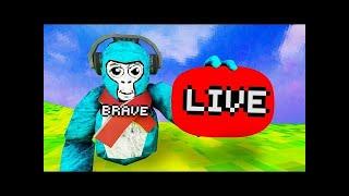 Gorilla tag livePlaying with viewers!Tag Minigames and moreRoad to 23k