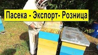 Как в розницу продать Мёд  Экспорт Мёда  Состояние Пасеки 