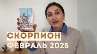 СКОРПИОН • ФЕВРАЛЬ 2025  • Таро Прогноз от Diva V.S / Виктория Штелльхорн