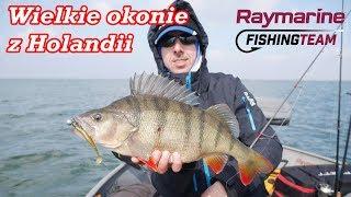 WIELKIE OKONIE Z HOLANDII | Wyprawa marzec 2018 | Raymarine | Navionics | wędkarstwo spinningowe