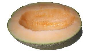 Rotting Cantaloupe Time-lapse