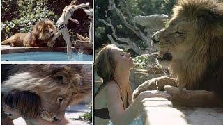 'Living With Lion' Young Melanie Griffith And Mom Tippi Hedren With Their PET LION Neil