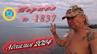 #Абхазия2024  1 ноября. Выпуск №1837Погода от Серого Волкавчера 19°ночью +11°море +19,8°