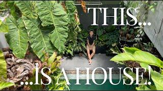 House INSIDE A Greenhouse! Live With Plants | RARE Exotic Aroids Palms and More!