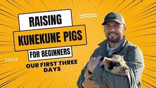 Raising Kunekune pigs: For Beginners (our first three days)